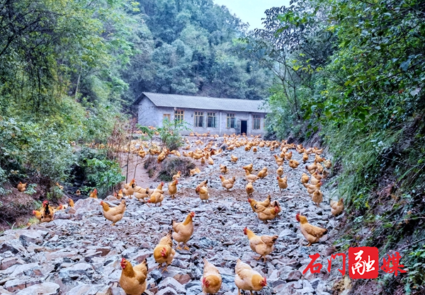 微信图片_20211108095207.jpg 微信图片_20211108095207.jpg